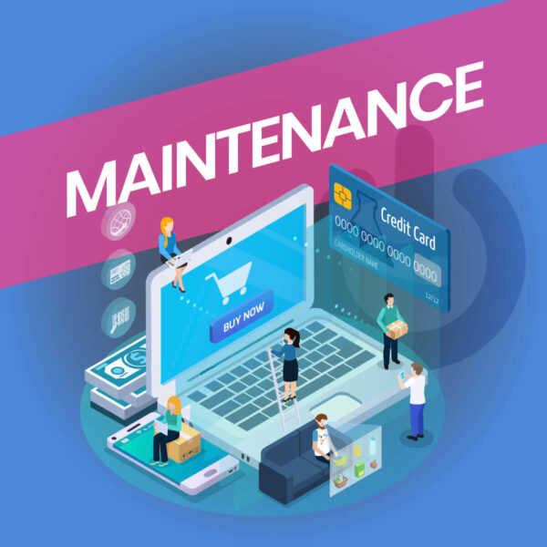 Services - Maintenance and Support